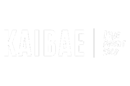 Logo 1